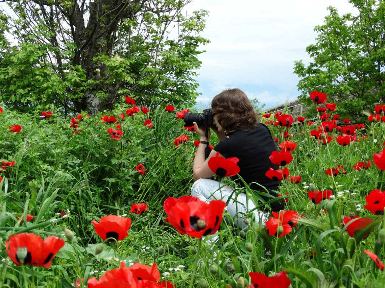 Путешествие в Азербайджан, Грузию и Армению | 01-09.05.2015. Галерея Фантим