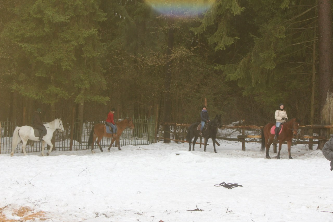 Лошадинг | 01.03.2015. Галерея Фантим