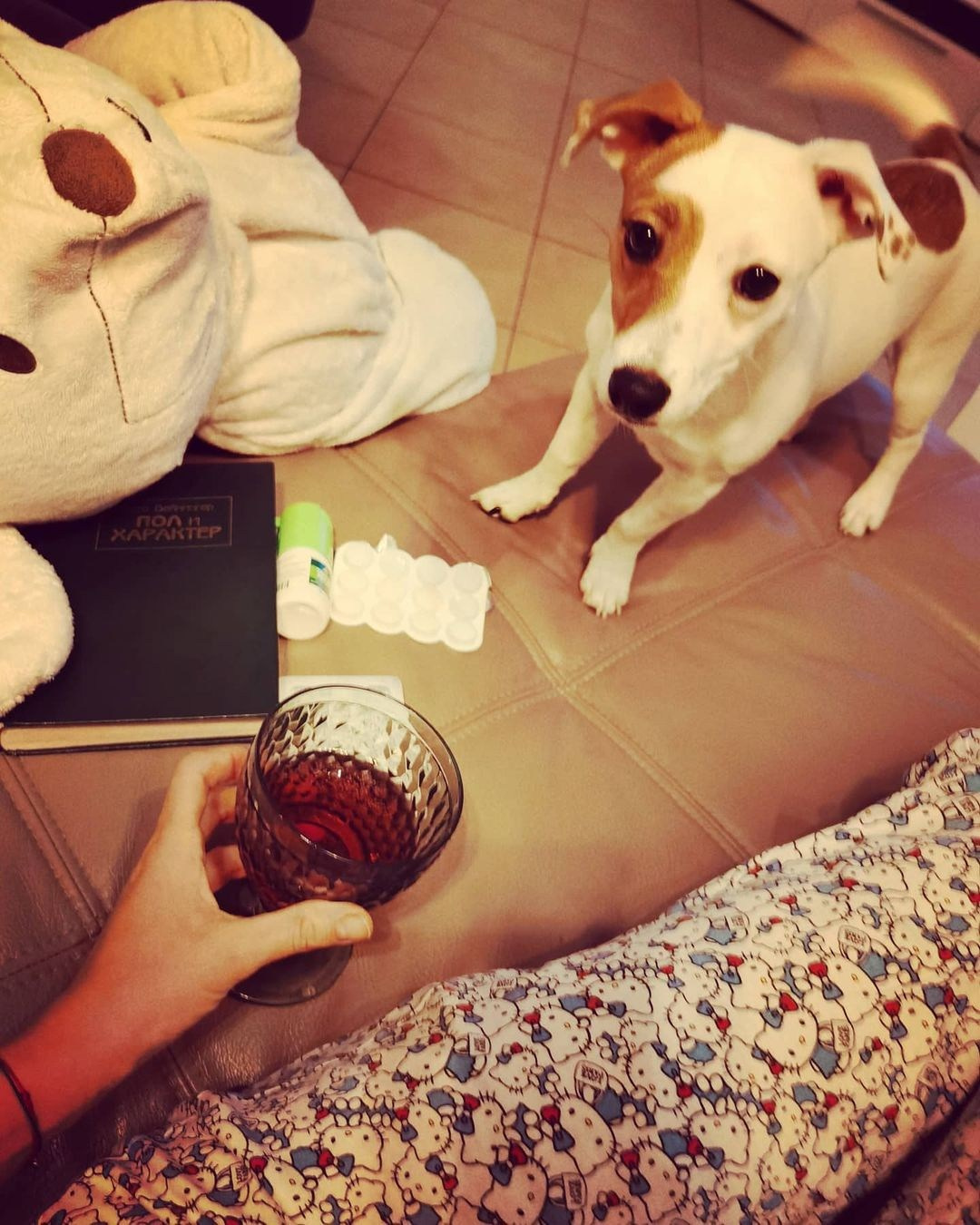 Anka`s Instagram. Заставка