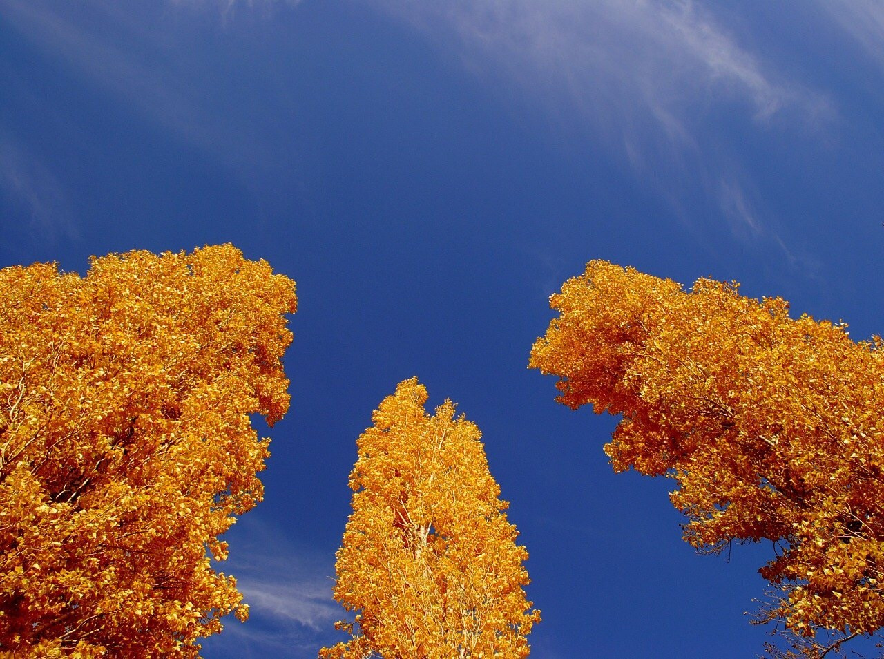 Визуальный дневник. Портретный фотограф в Москве Гахраманова Екатерина