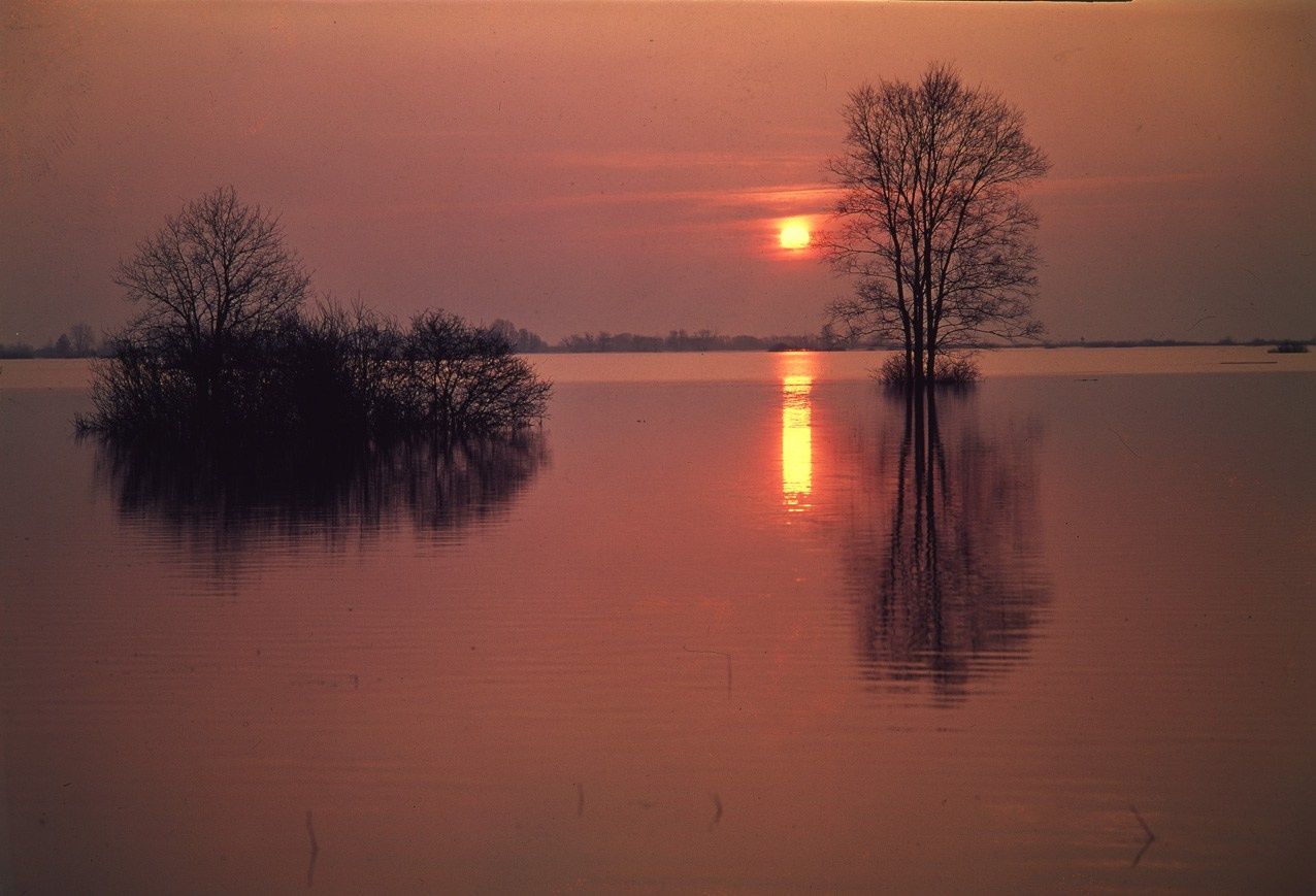 Весна. ВАДИМ ГИППЕНРЕЙТЕР — ВЕЛИКИЙ ФОТОГРАФ ЗЕМЛИ РУССКОЙ