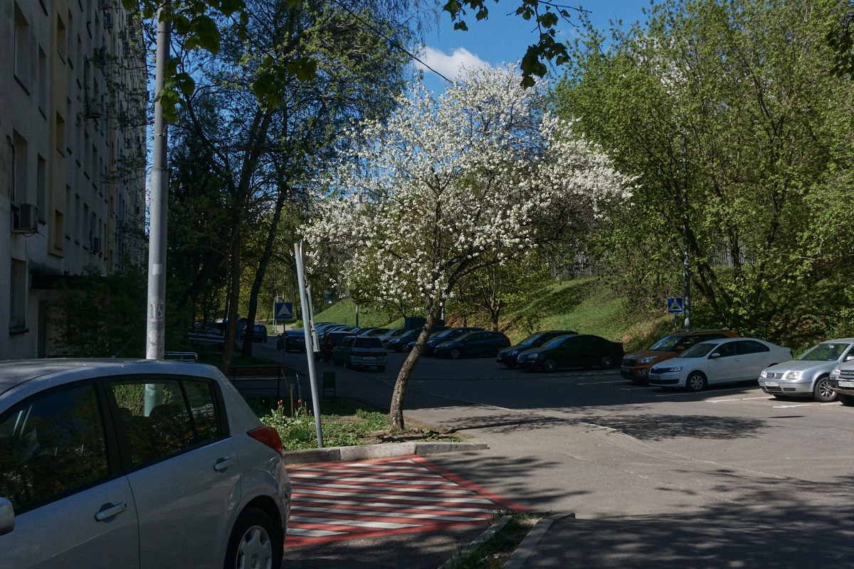 Хорошо голову не потерял. Иван Кобяков