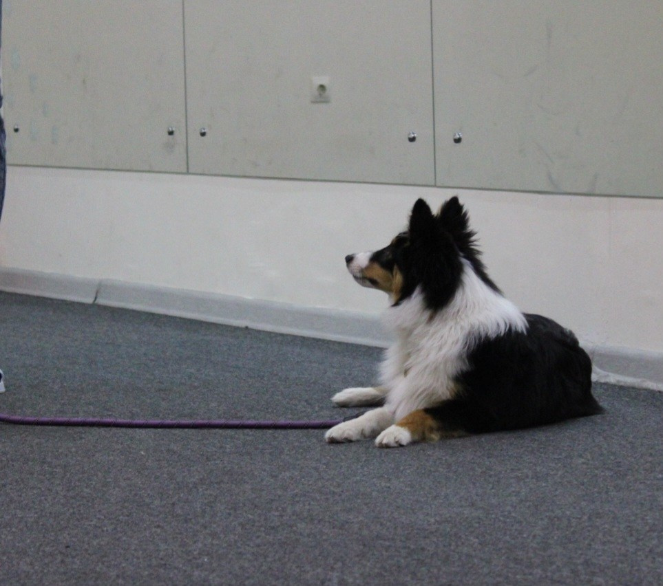 Репортаж УС «ДЦ Ральф». Катя Попова|ЛайфСтайл фотограф