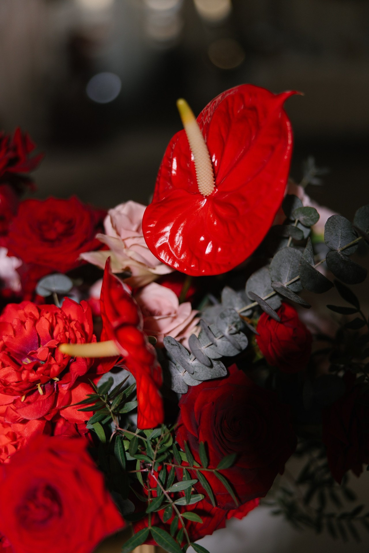 Отзывы. Photographer Smyslova Lilia