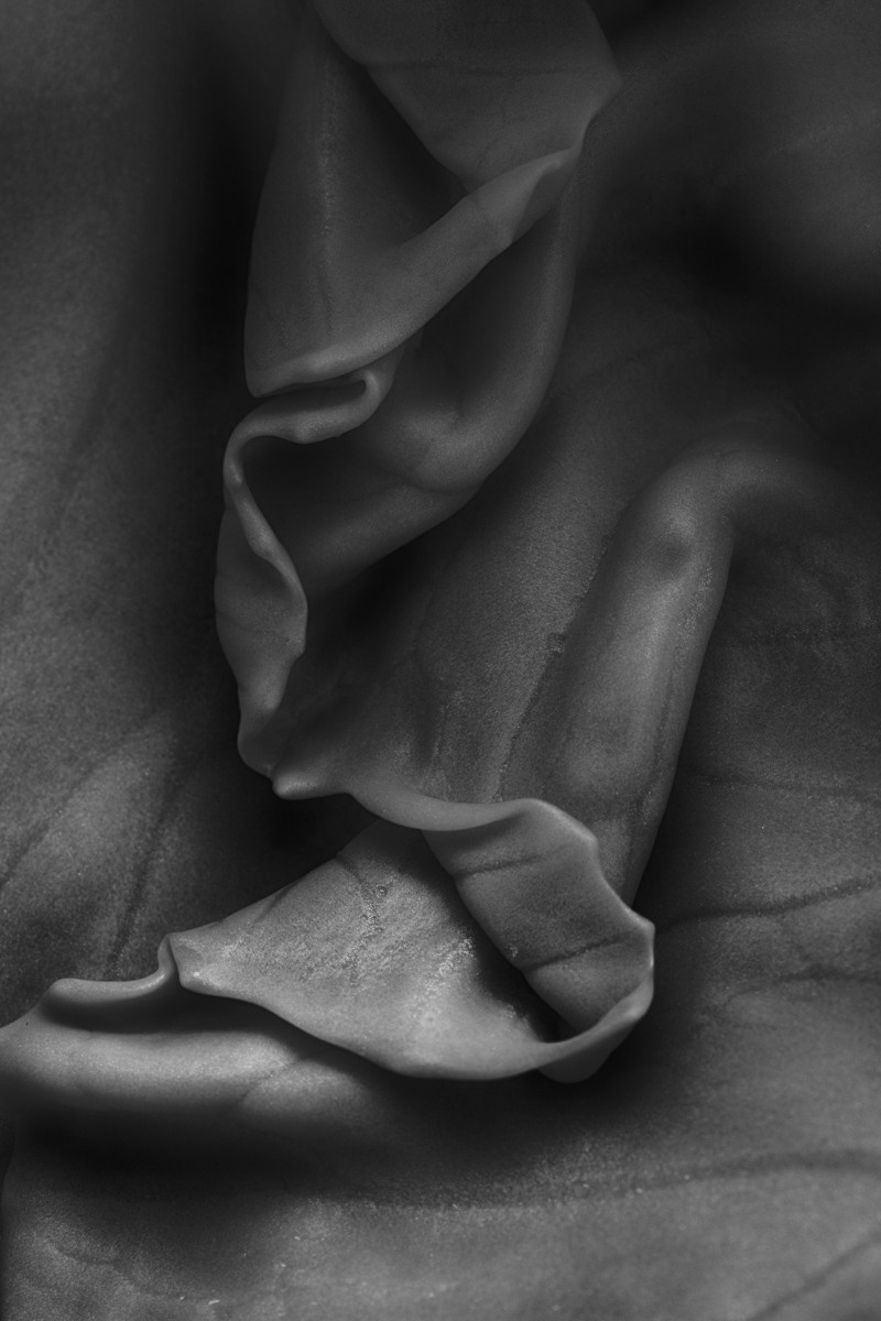 Untitled XI by samid ali