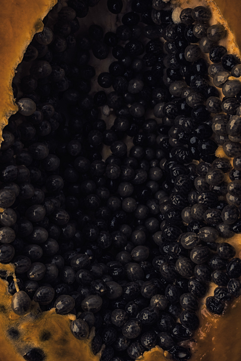 Untitled XIV by samid ali