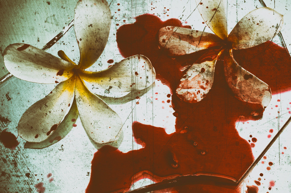 Untitled XXIII by samid ali