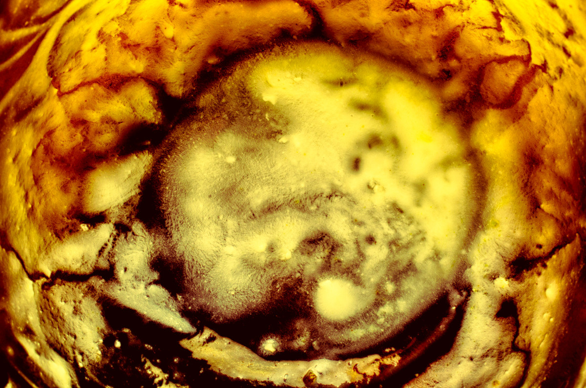 Untitled I by samid ali