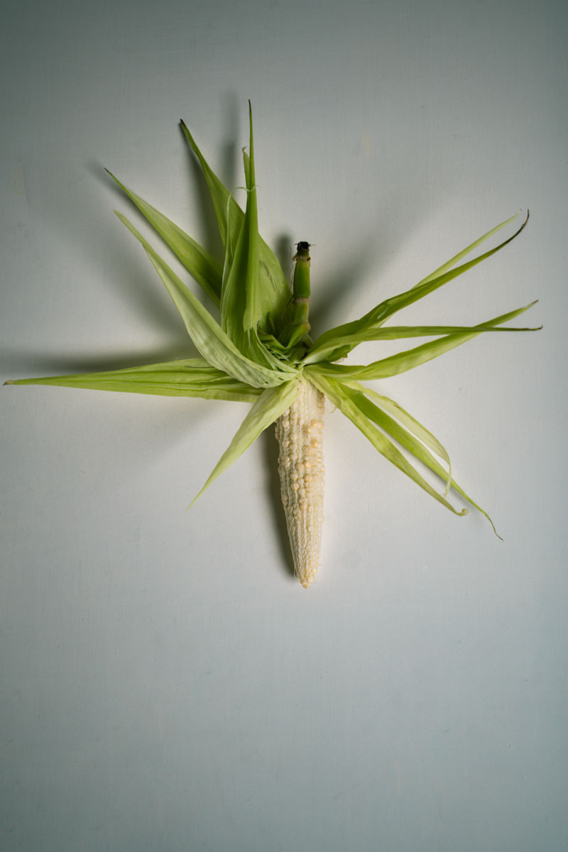 Untitled III by samid ali