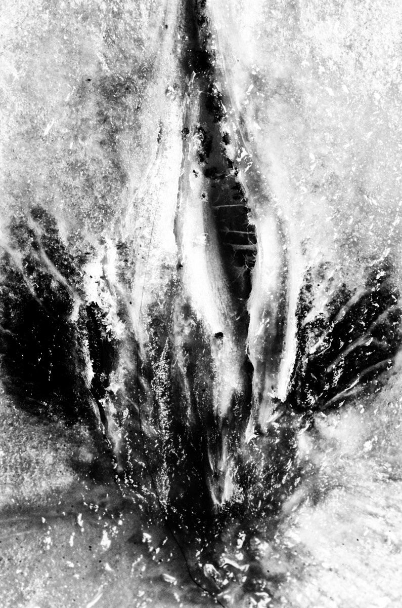 Untitled XXVIII by samid ali