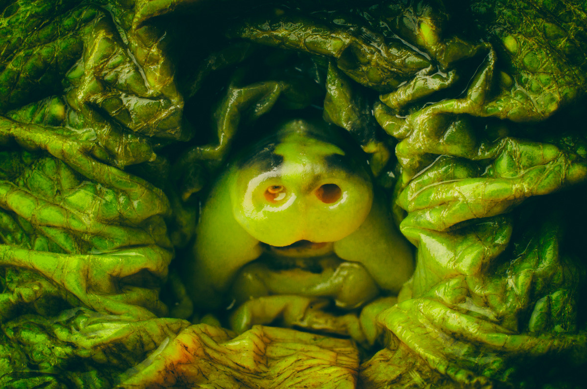 Untitled XVII by samid ali