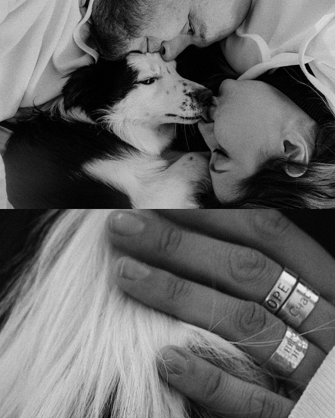 Таня, Дима и Чейси. Фотограф анималист в Москве и Санкт-Петербурге Свиридова Анна