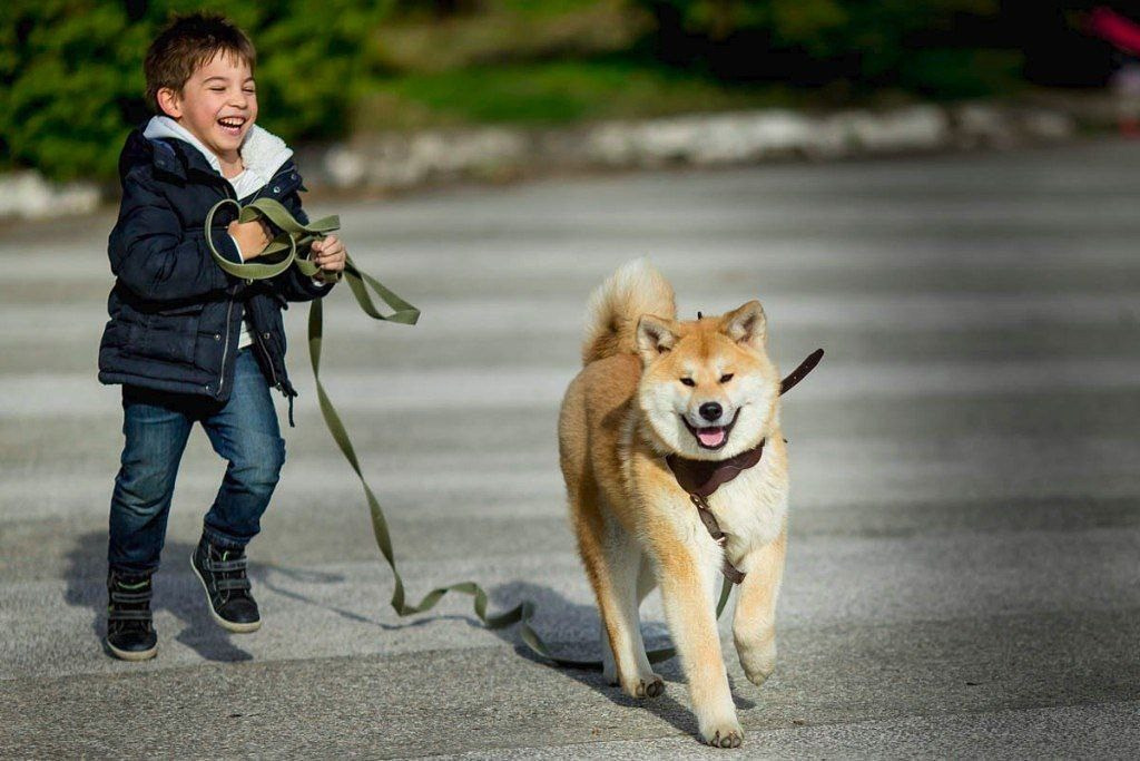 Детские фотоссесии. Kulikova Alfiia