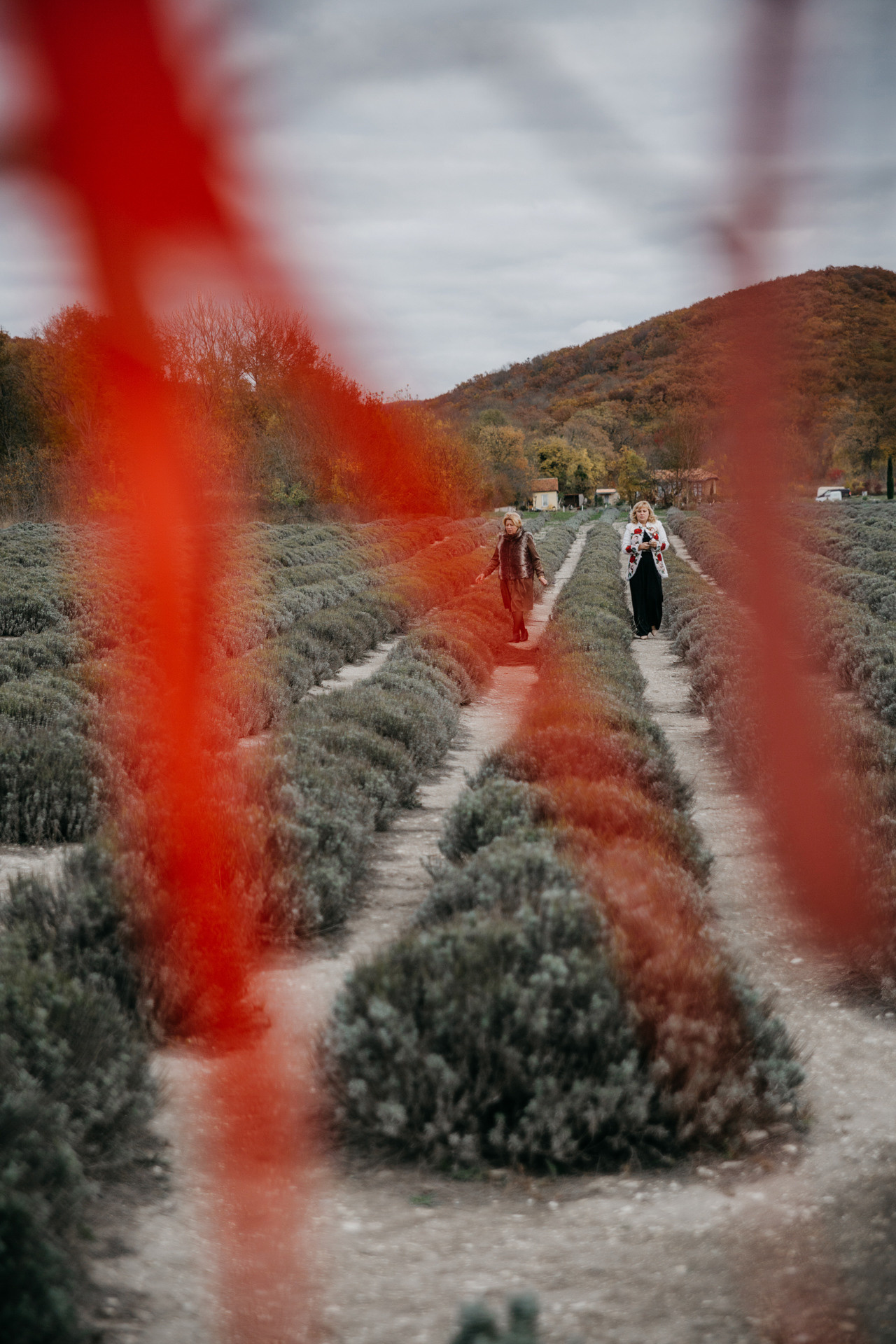 Д+Д. Фотографии о любви