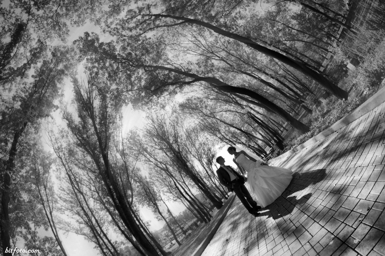 Свадебные снимки. Главная