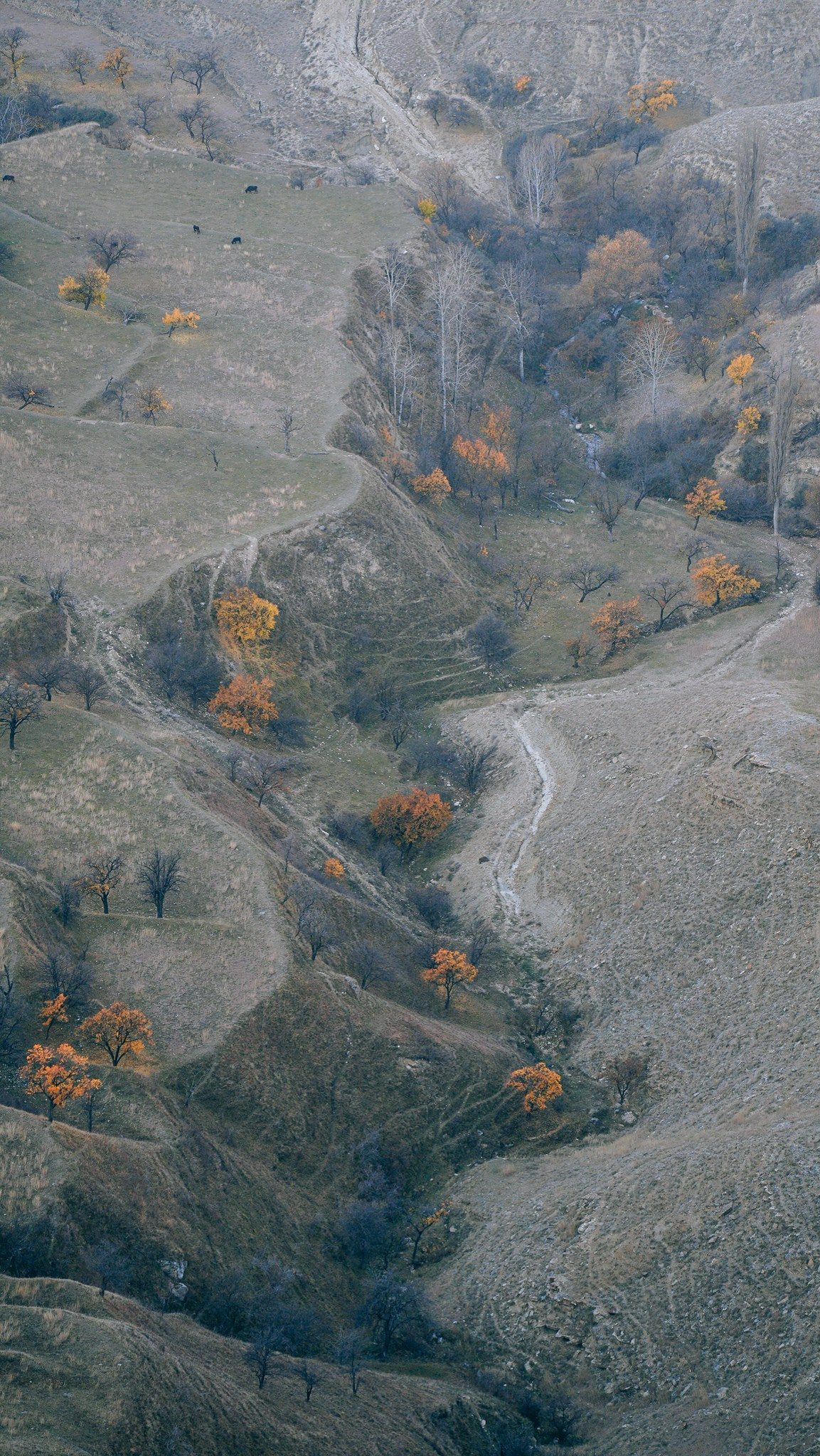 Дагестан 2023. Человек с фотокамерой