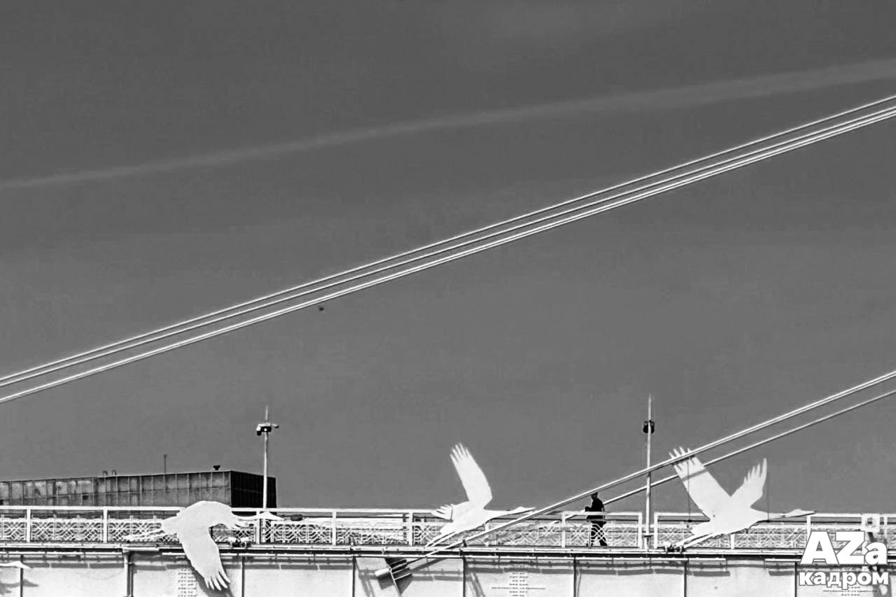 Фотопрогулка для Ольги и Владимира. Женский семейный фотограф в Туле Москве Захарова Анна