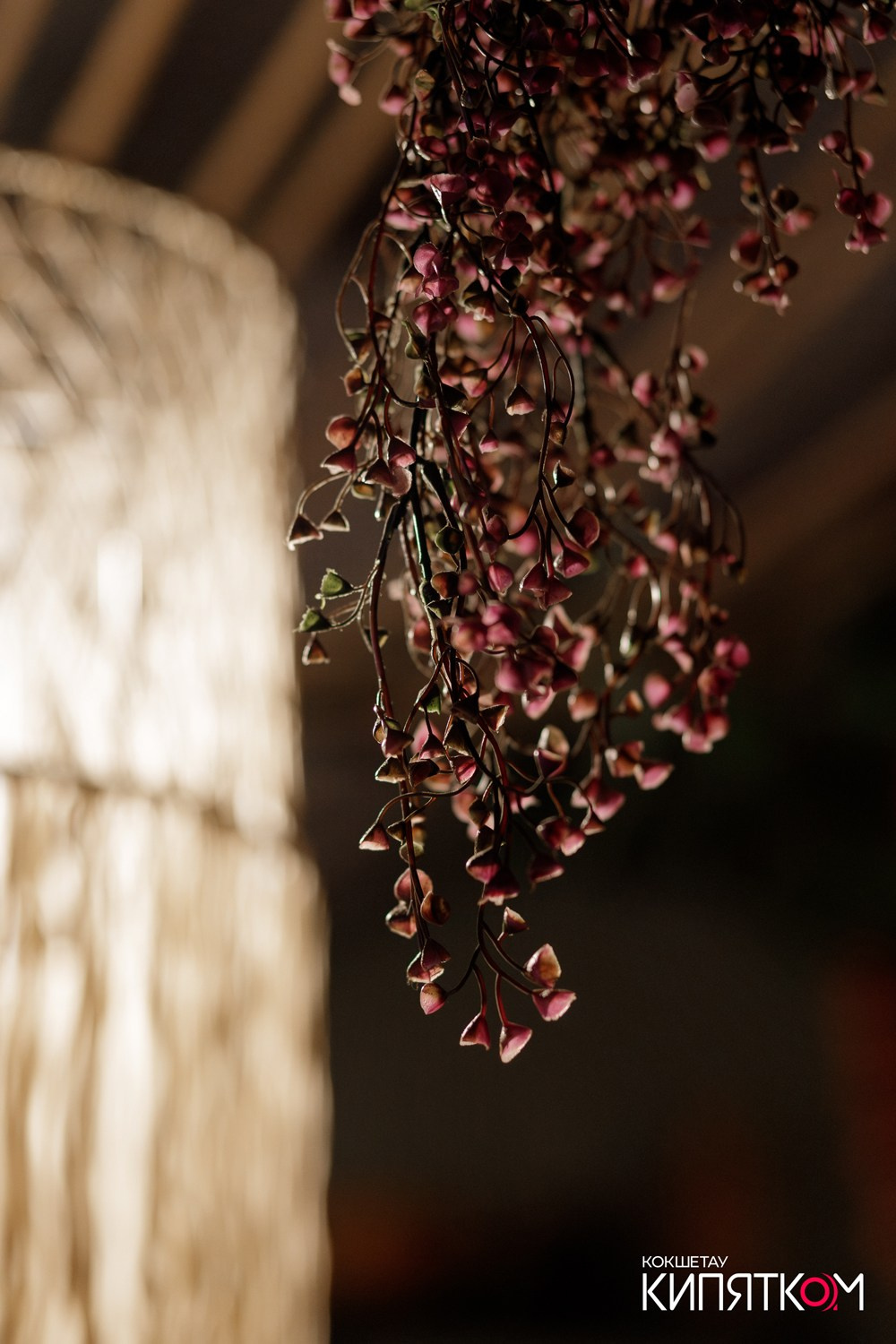 ТБИЛИСИ. КИПЯТКОМ КОКШЕТАУ