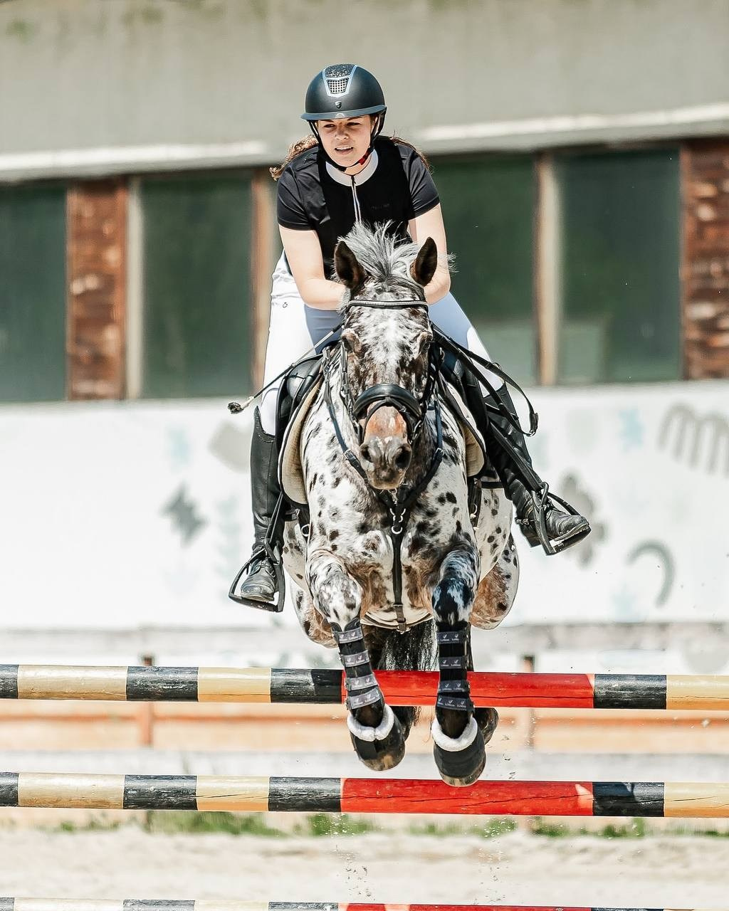 КСК «БЕЛАЯ ДАЧА», КОНКУР, ПОСВЯЩЕННЫЙ ОКОНЧАНИЮ УЧЕБНОГО ГОДА. Конный фотограф Куракина Дарья • Фотосессии с лошадьми