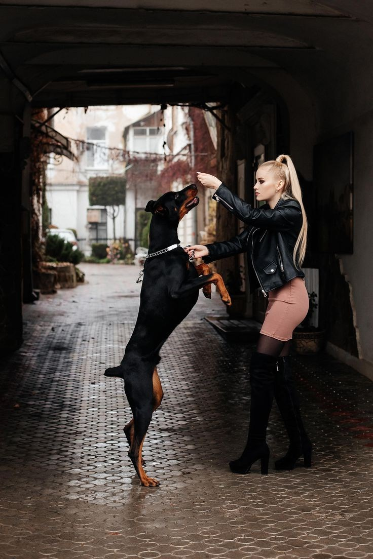 ФОТОПРОЕКТ Доберман-сессия. Свадебный и семейный фотограф в Рязани Датская Ксения