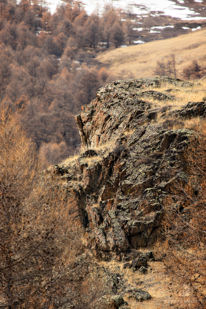 Мой Алтай. Фотограф Кирилл Мешков Кемерово