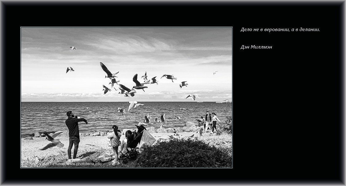 Совет дня — ориентир. Татьяна Корчагина. Фотограф, художник. Обучение фотографии