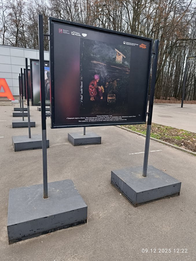 Шашкина Юлия Владимировна. Галерея участников Российской Премии Искусств