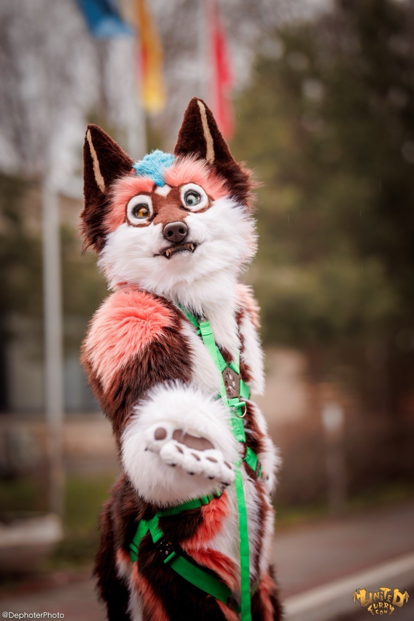 United Furry Convention 2026. Различные мероприятия и просто фотографии людей