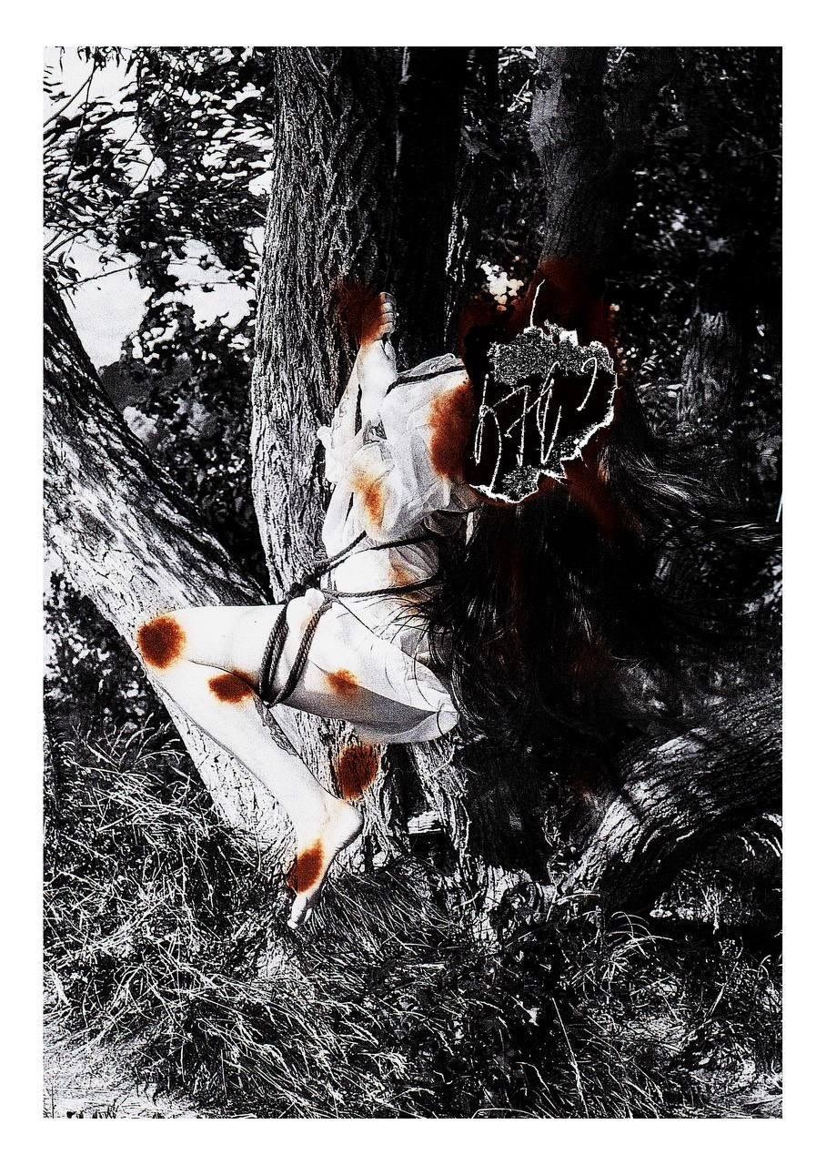 Коллажи. Маська