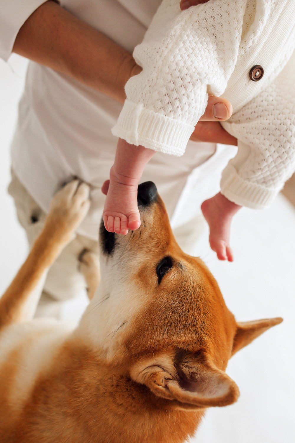 Марфа LIFE студийная съемка. Фотограф новорожденных Оксана Полевская