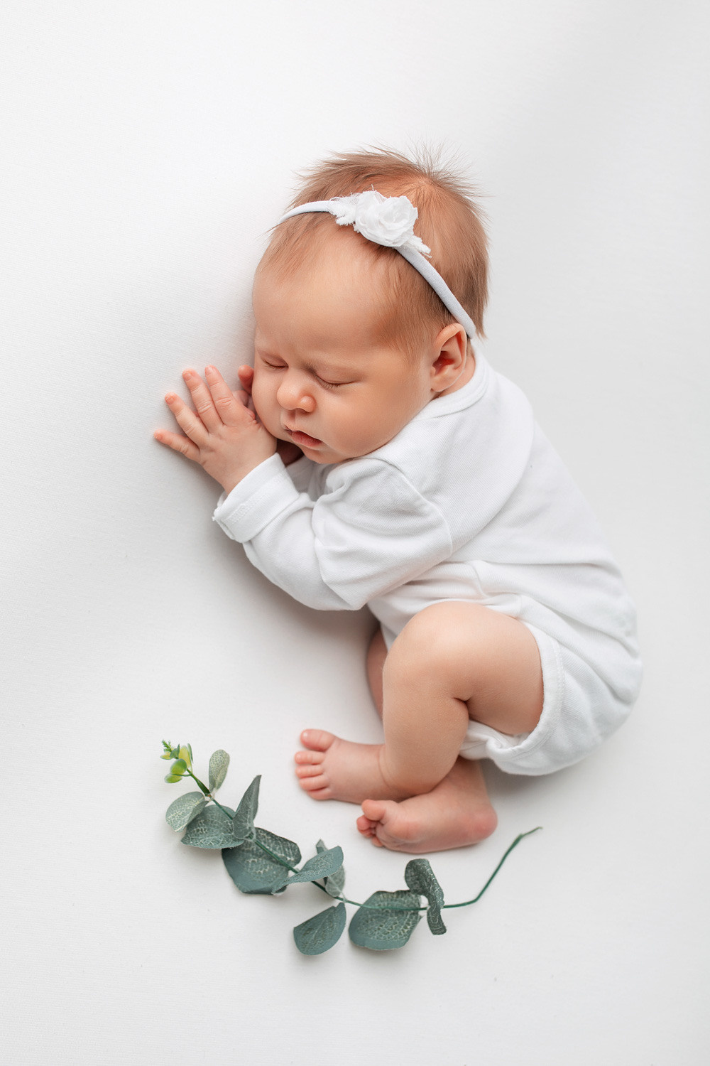 Даша Life студия. Фотограф новорожденных Оксана Полевская