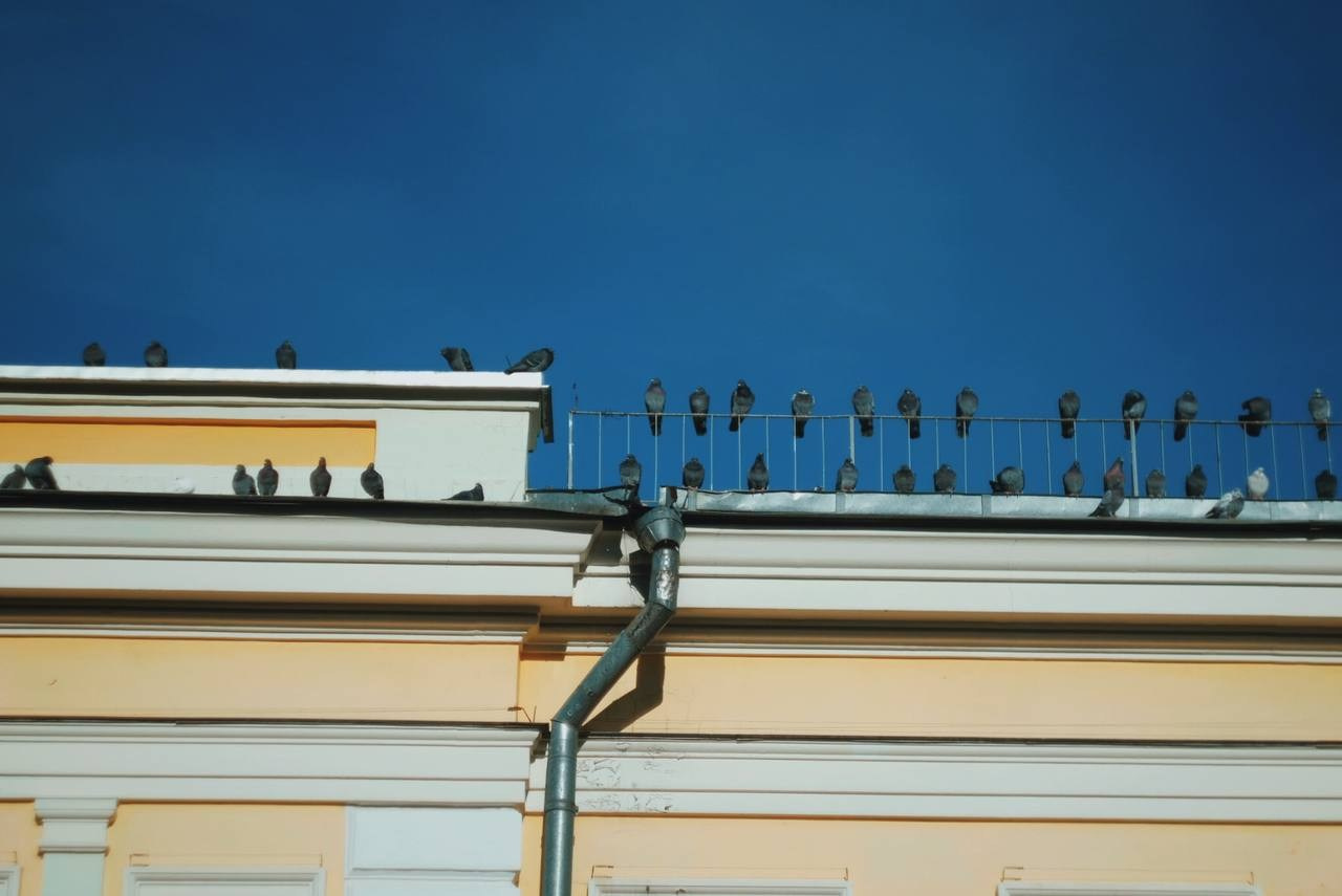 Автор: Юлианна Короткова