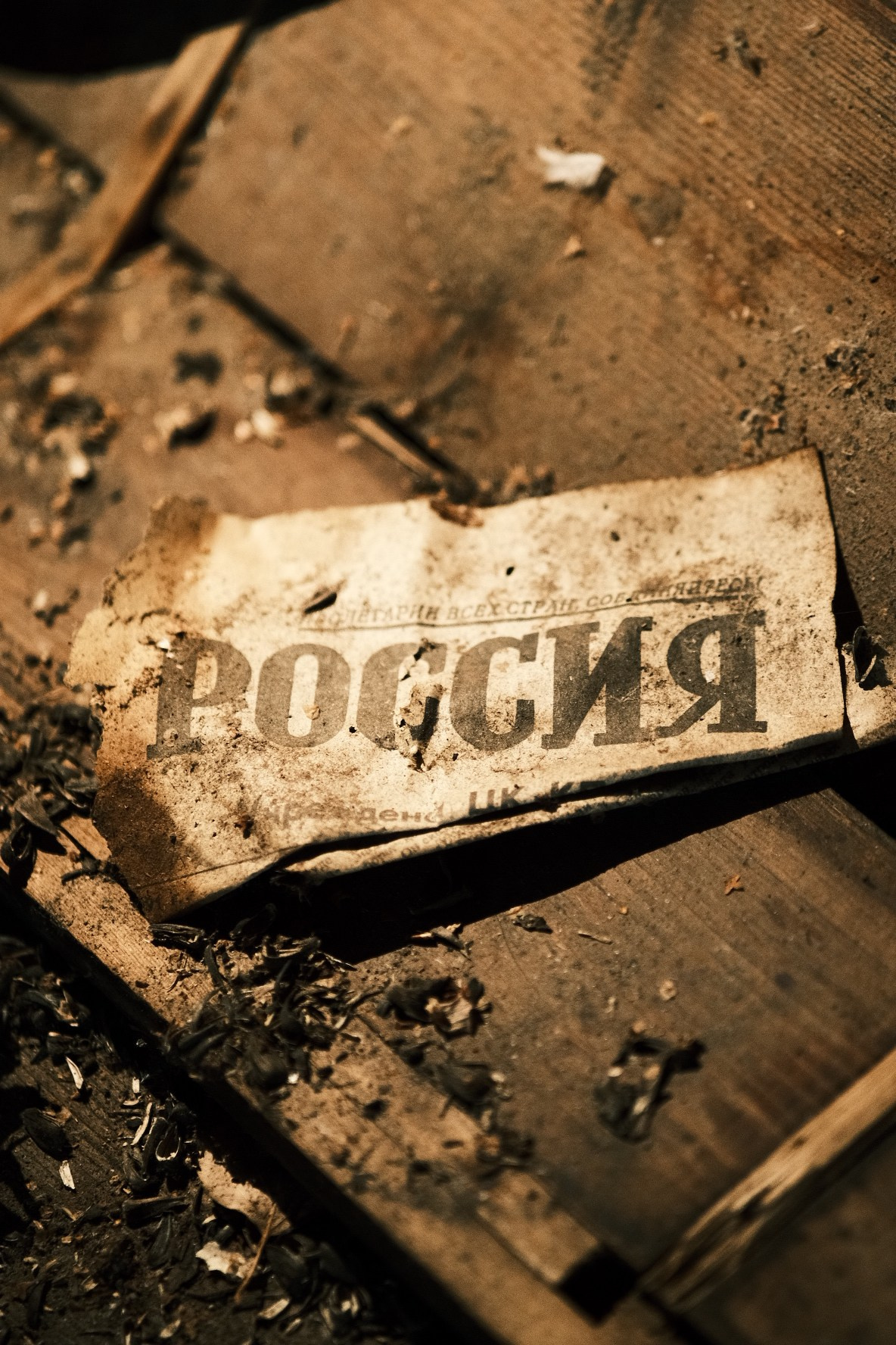 Прогулки по России. Фотограф Валерия Кононова