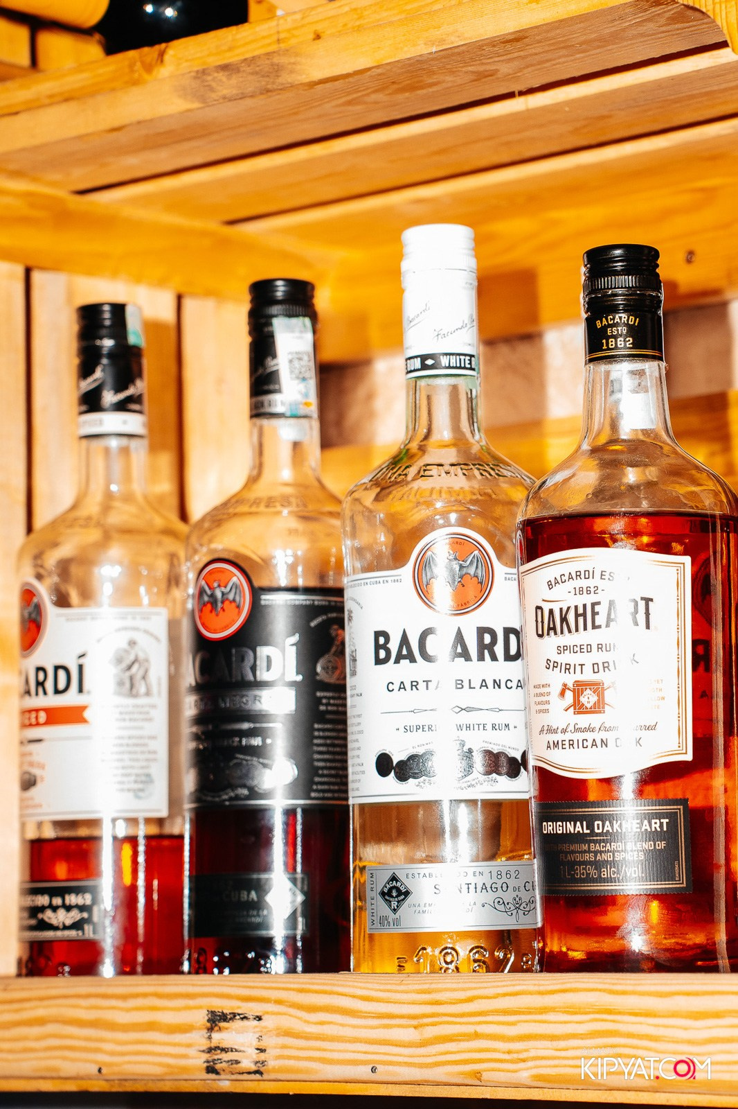 УХО И МЕДВЕДЬ НА САИНА. КИПЯТКОМ АЛМАТЫ!