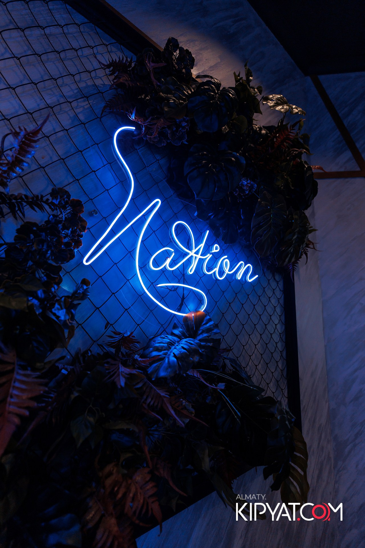 ДОРОГАЯ. Я НЕ ПИЛ. КИПЯТКОМ АЛМАТЫ! Фотосъемка мероприятий в Алматы