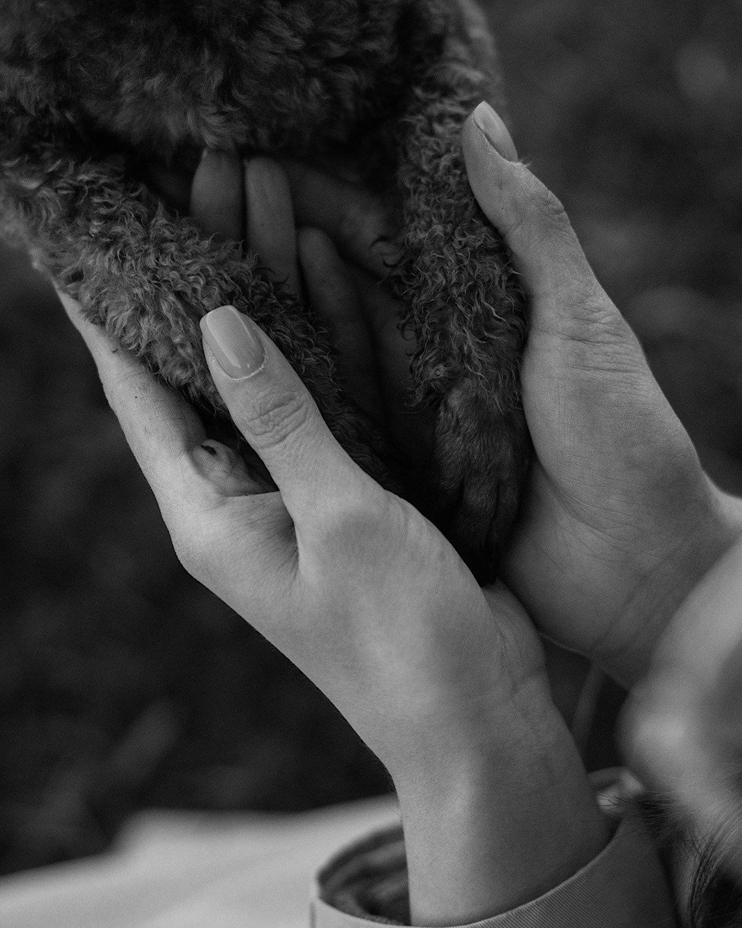 Лия и Чарли. Фотограф анималист в Москве и Санкт-Петербурге Свиридова Анна