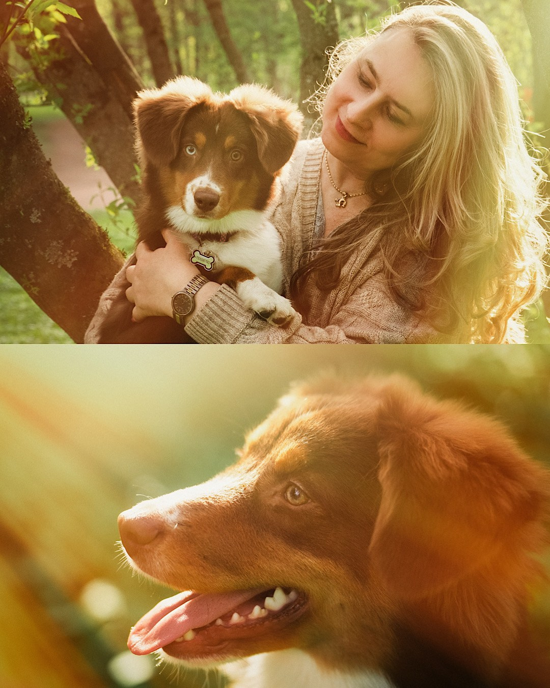 Мария и Брасс. Фотограф анималист в Москве и Санкт-Петербурге Свиридова Анна