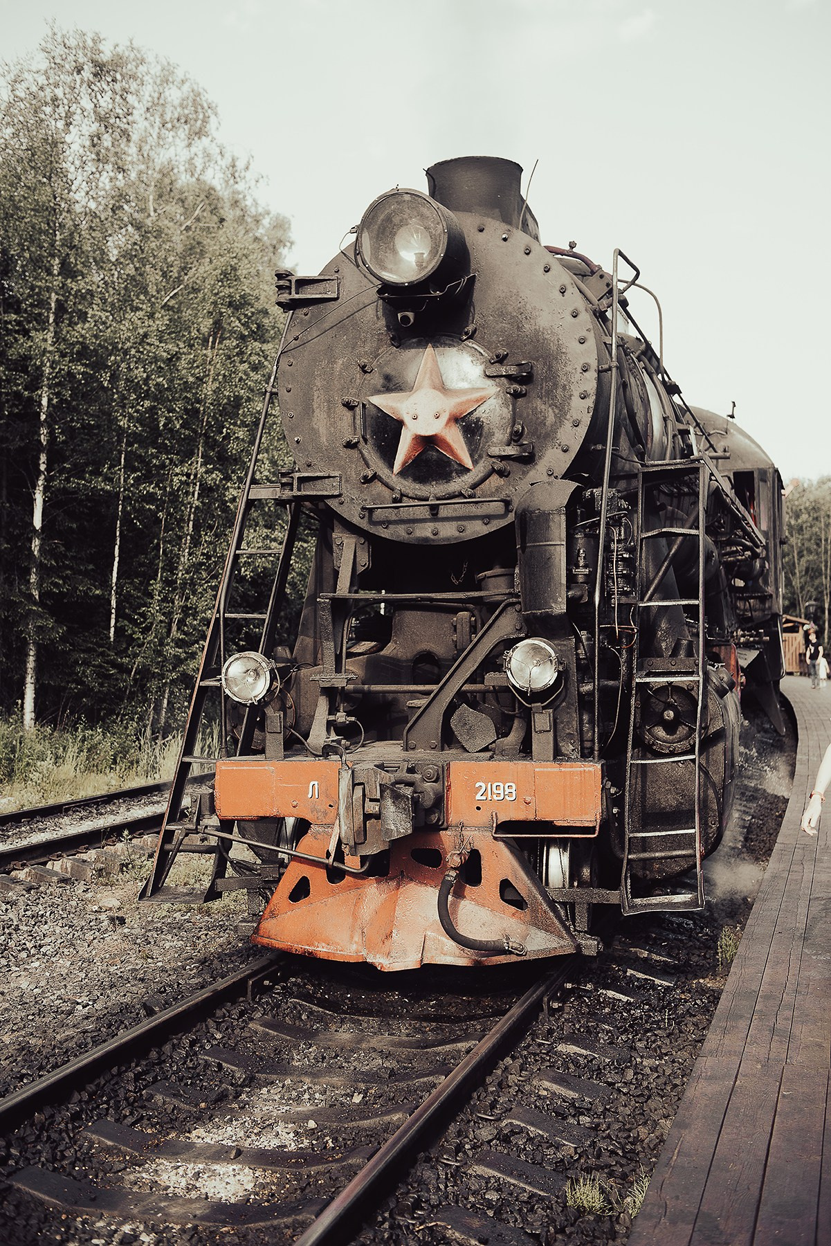 Карелия. Фотограф-анималист Наталья Светличная