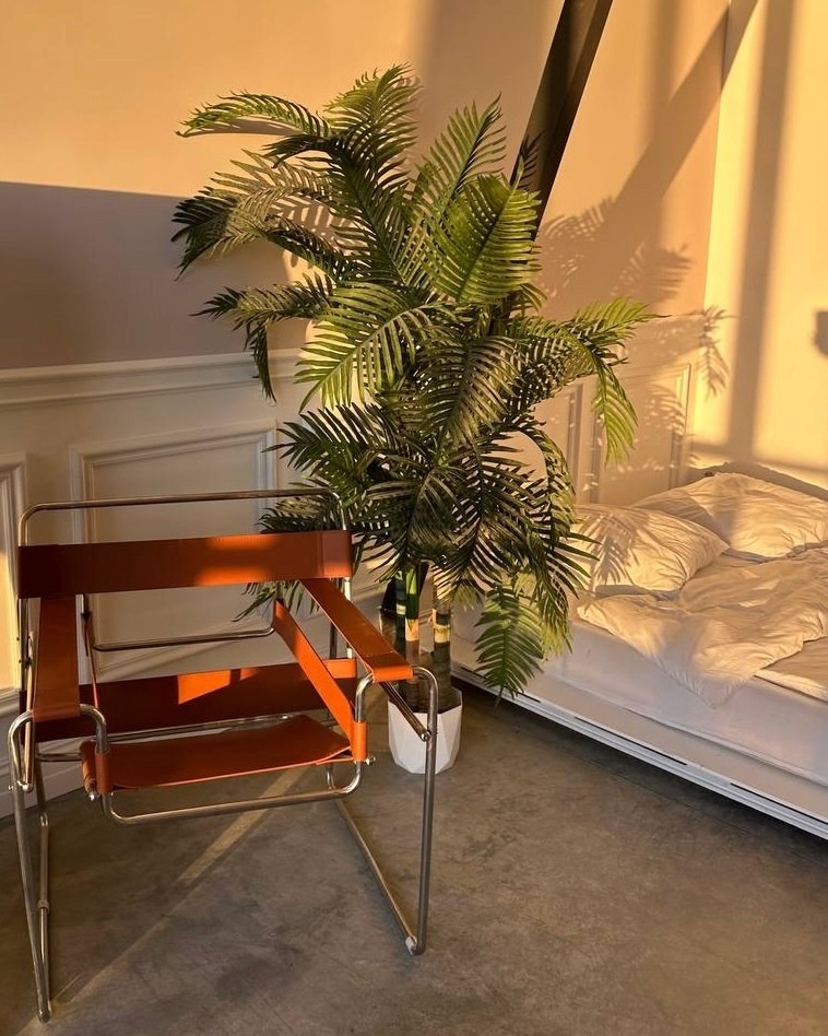 Фотостудии