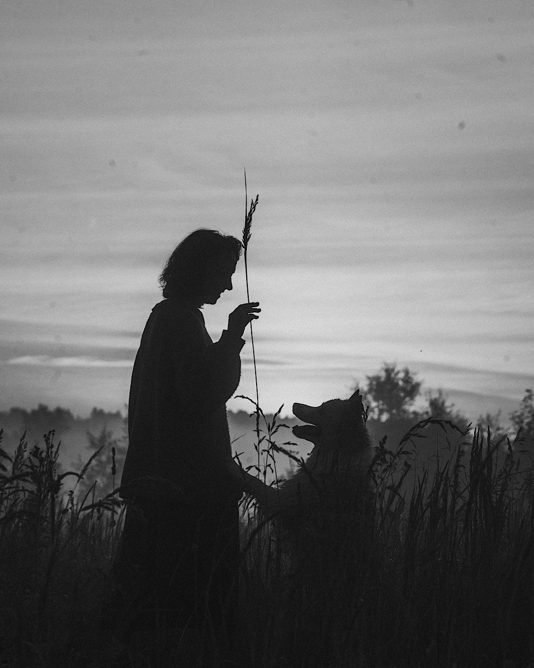Рина и Марси. Фотограф анималист в Москве и Санкт-Петербурге Свиридова Анна