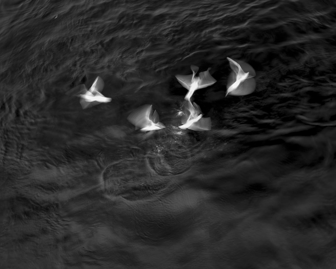 Облачный поток. Мастерская Демченко