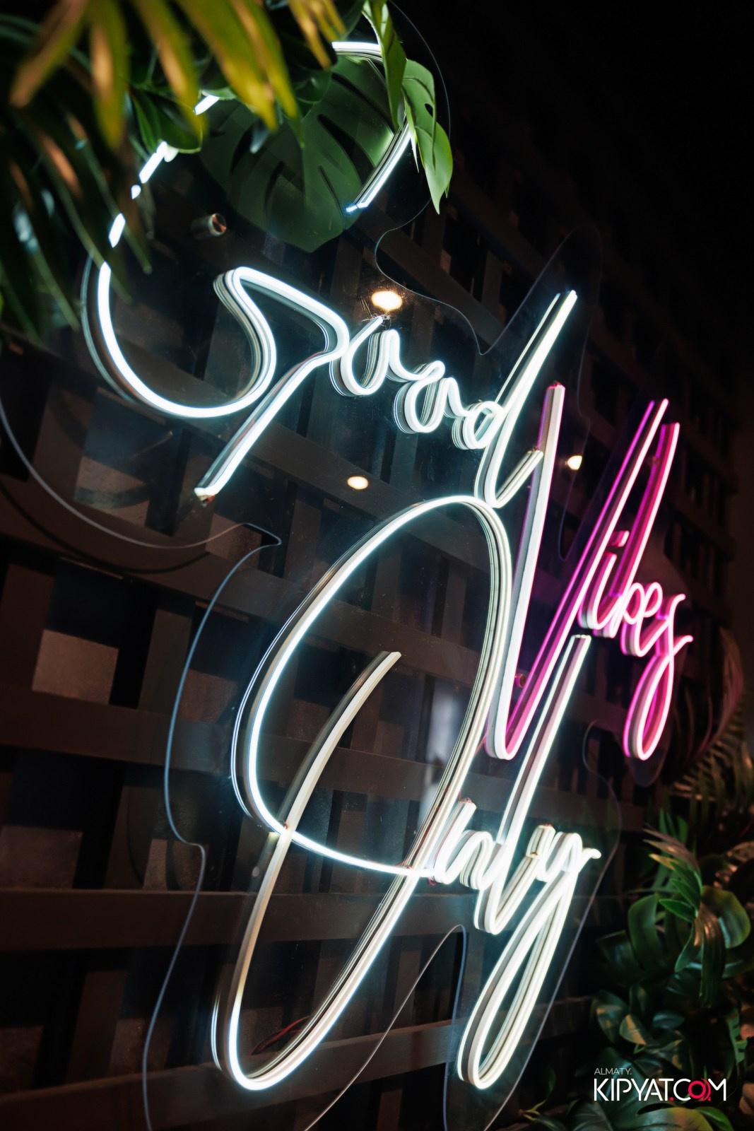 ДОРОГАЯ, Я НЕ ПИЛ. КИПЯТКОМ АЛМАТЫ!