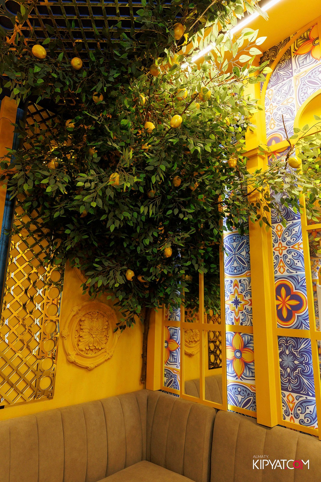 УХО И МЕДВЕДЬ НА КУРМАНАГАЗЫ. КИПЯТКОМ АЛМАТЫ! Фотосъемка мероприятий в Алматы