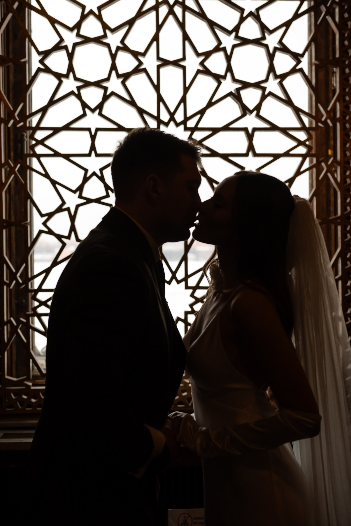 Владимирский дворец. Свадебный и сеейный фотограф в Санкт-Петербурге Елена Худякова