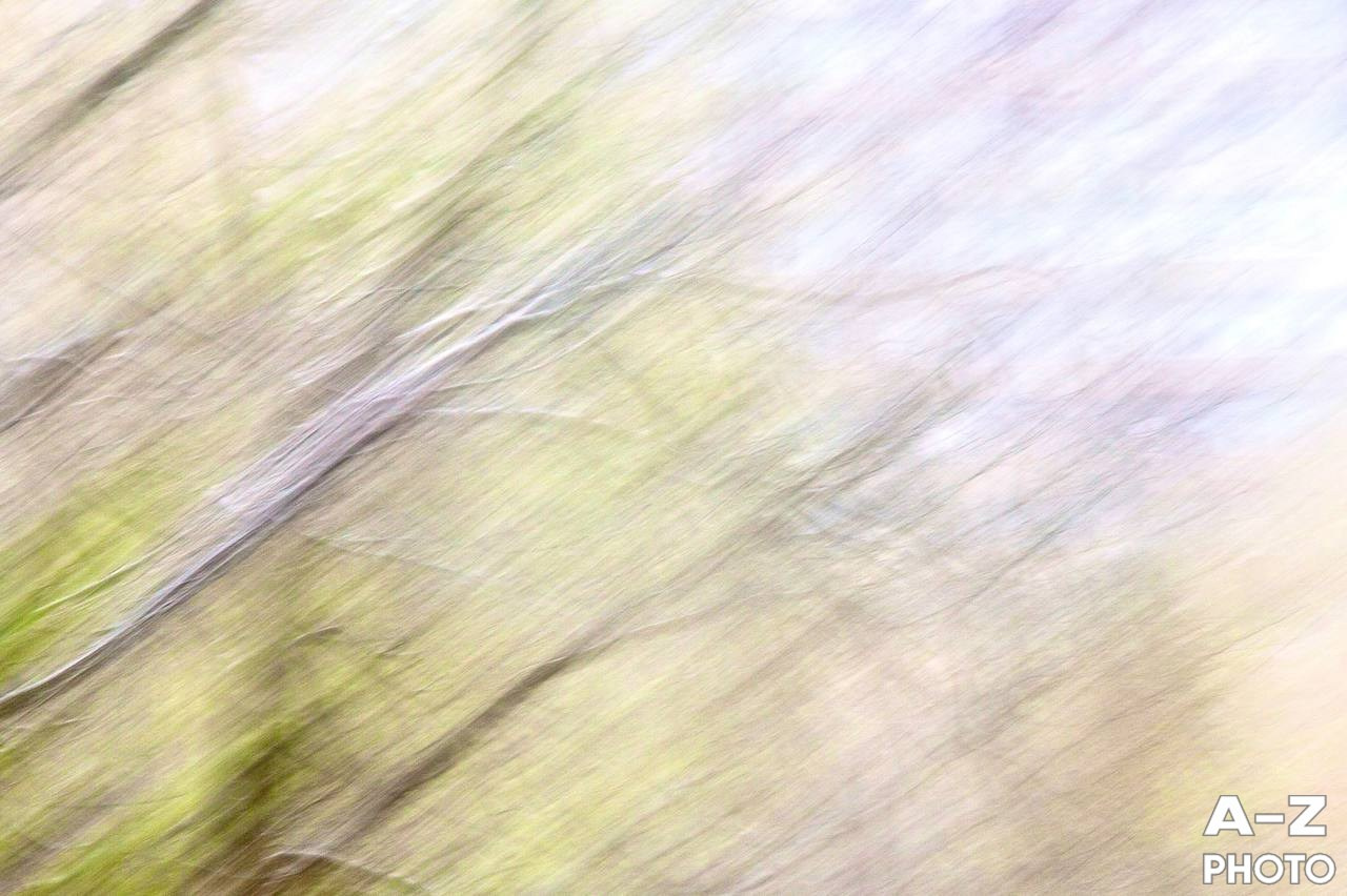 #ФОТОНЕДЕЛИ 13.04.2026. Женский семейный фотограф Тула Москва Захарова Анна