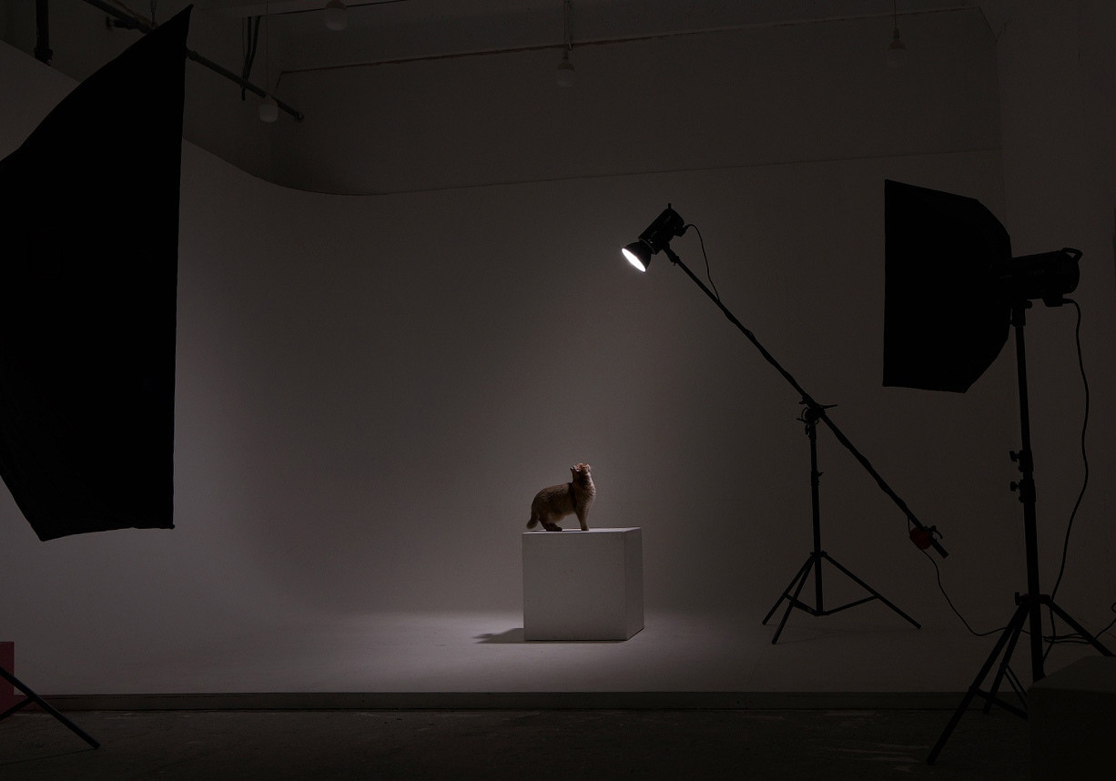 Циклорама старая деревня, циклорама черная речка, циклорама на севере города, 