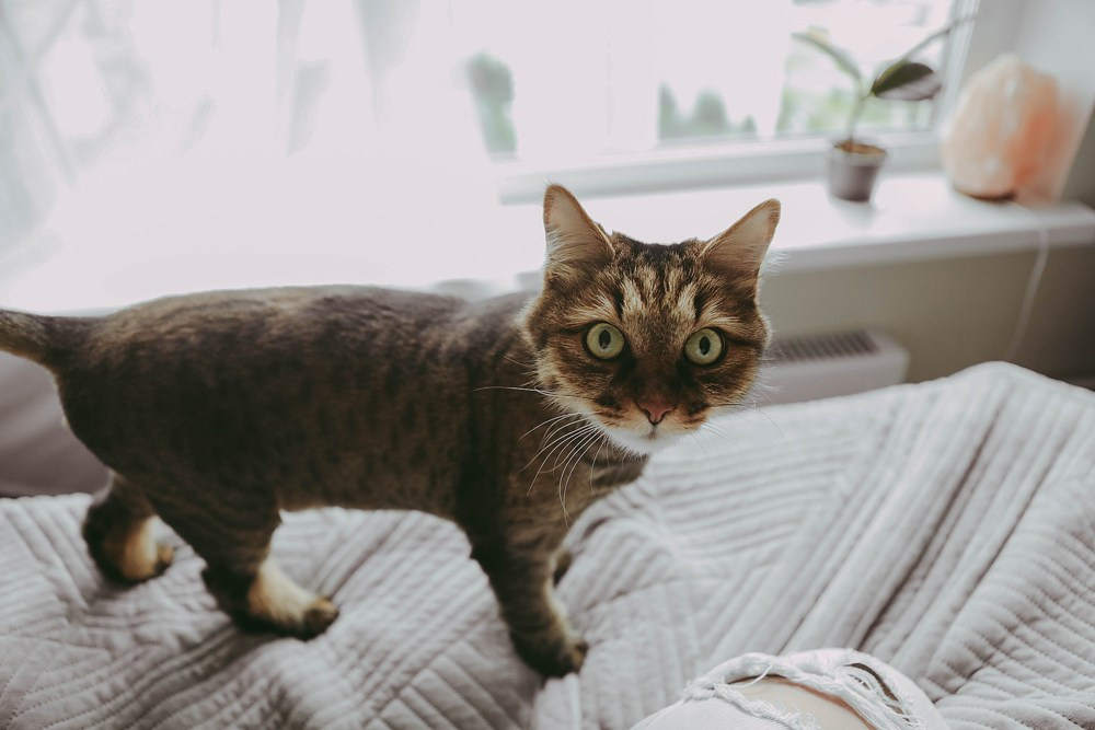 Дом — территория настоящности!. Катя Сидор — фотограф в Москве