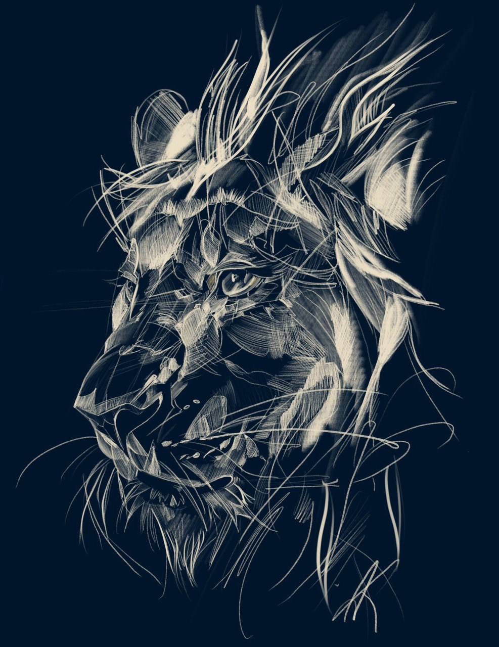 Художник фотограф Арина Кузнецова