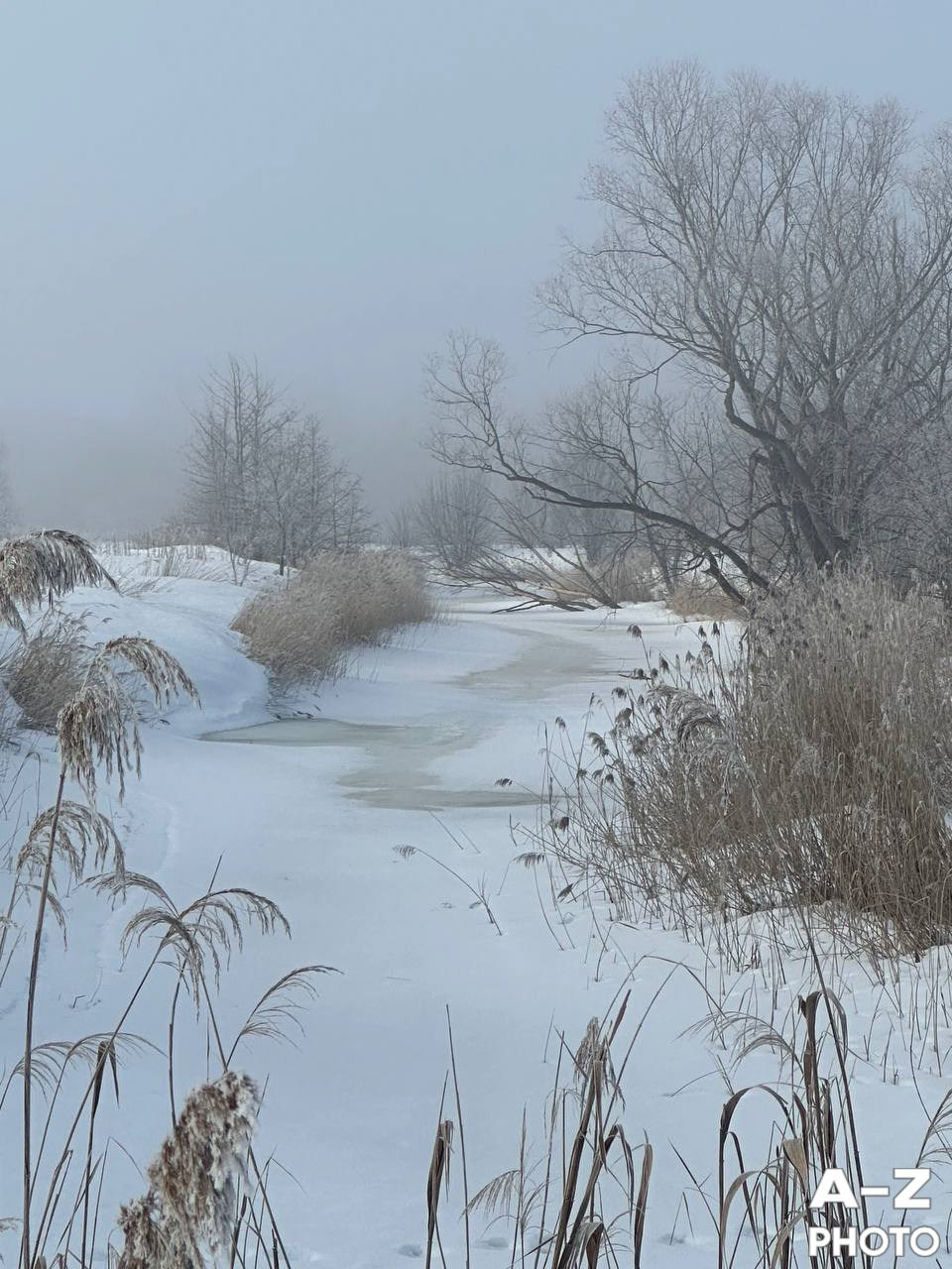 #ФОТОНЕДЕЛИ 23.03.2026. Женский семейный фотограф Тула Москва Захарова Анна