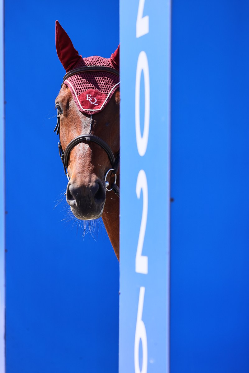 Спорт. KatymartArt — Equine photography